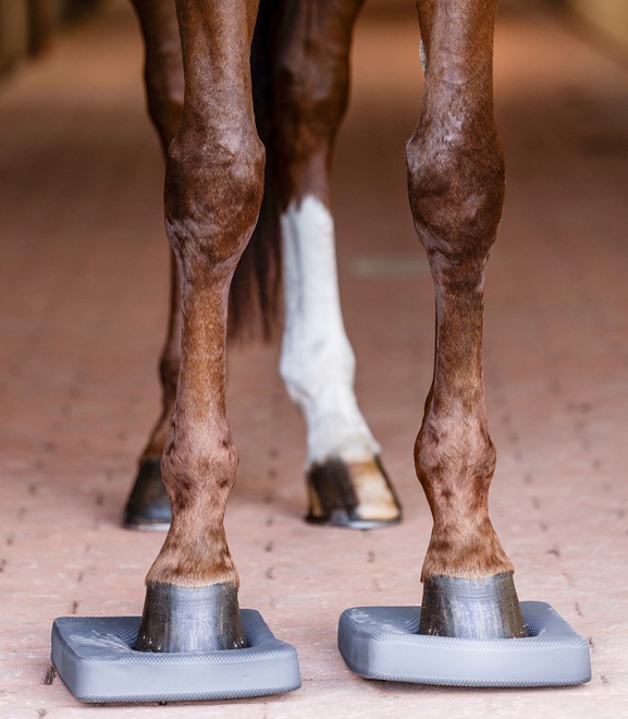 TAPPETINI HEALTH CARE BALANCE  